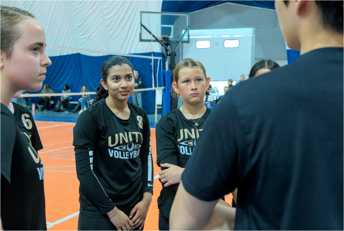 Mastering the art of volleyball